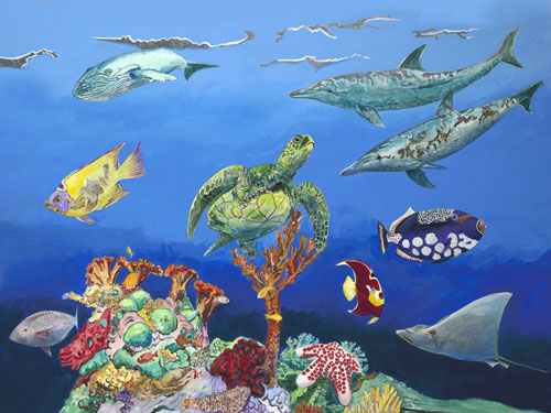 Life on the Reef Fine Art Print